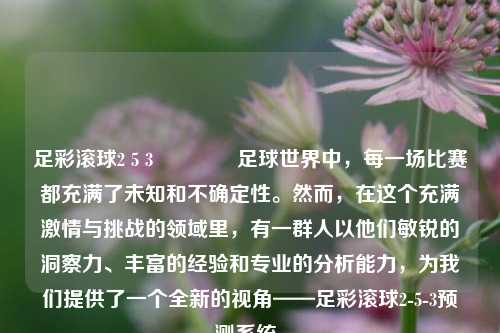 足彩滚球2 5 3🥈足球世界中，每一场比赛都充满了未知和不确定性。然而，在这个充满激情与挑战的领域里，有一群人以他们敏锐的洞察力、丰富的经验和专业的分析能力，为我们提供了一个全新的视角——足彩滚球2-5-3预测系统。