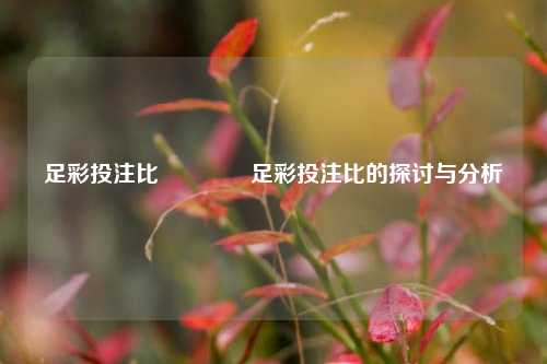 足彩投注比🏆足彩投注比的探讨与分析