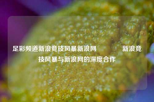 足彩频道新浪竞技风暴新浪网🌈新浪竞技风暴与新浪网的深度合作
