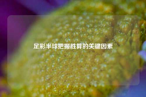 足彩半球把握胜算的关键因素