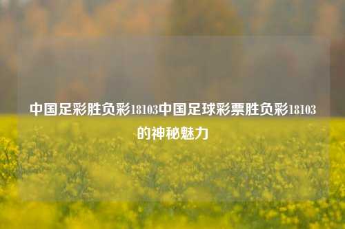 中国足彩胜负彩18103中国足球彩票胜负彩18103的神秘魅力