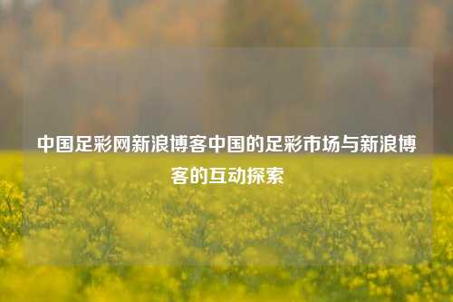 中国足彩网新浪博客中国的足彩市场与新浪博客的互动探索