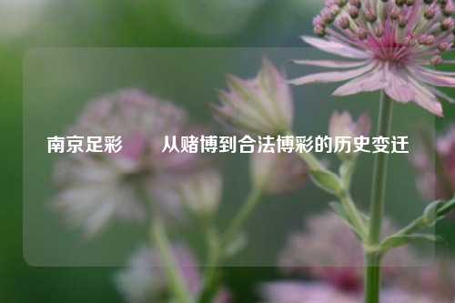 南京足彩✌️从赌博到合法博彩的历史变迁