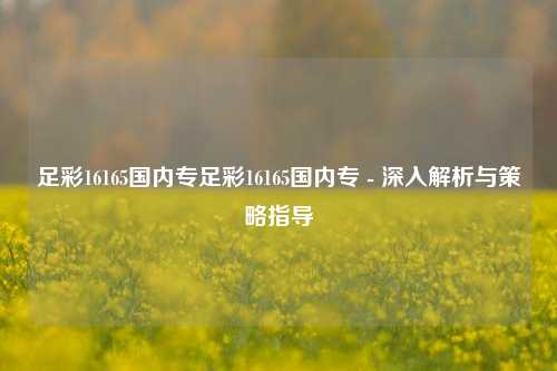 足彩16165国内专足彩16165国内专 - 深入解析与策略指导