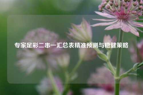 专家足彩二串一汇总表精准预测与稳健策略