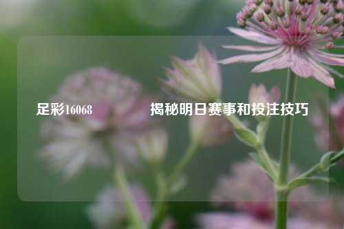 足彩16068👉揭秘明日赛事和投注技巧