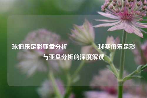 球伯乐足彩亚盘分析🎖️球赛伯乐足彩与亚盘分析的深度解读