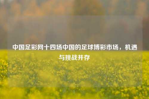 中国足彩网十四场中国的足球博彩市场，机遇与挑战并存