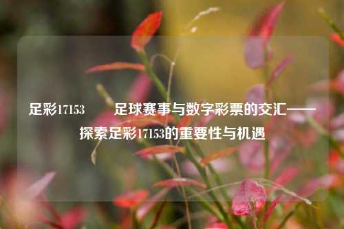 足彩17153✌️足球赛事与数字彩票的交汇——探索足彩17153的重要性与机遇