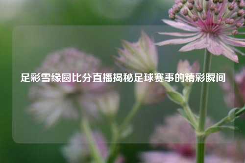足彩雪缘圆比分直播揭秘足球赛事的精彩瞬间