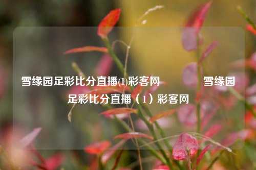 雪缘园足彩比分直播(1)彩客网👈雪缘园足彩比分直播（1）彩客网