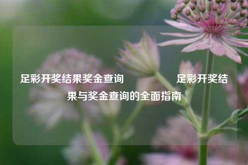 足彩开奖结果奖金查询🎖️足彩开奖结果与奖金查询的全面指南