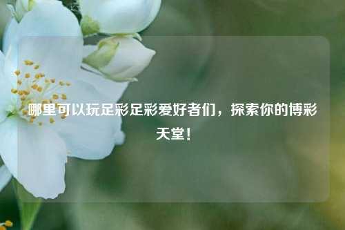 哪里可以玩足彩足彩爱好者们，探索你的博彩天堂！