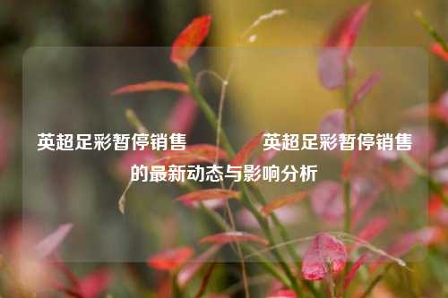 英超足彩暂停销售👍英超足彩暂停销售的最新动态与影响分析