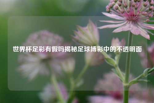 世界杯足彩有假吗揭秘足球博彩中的不透明面