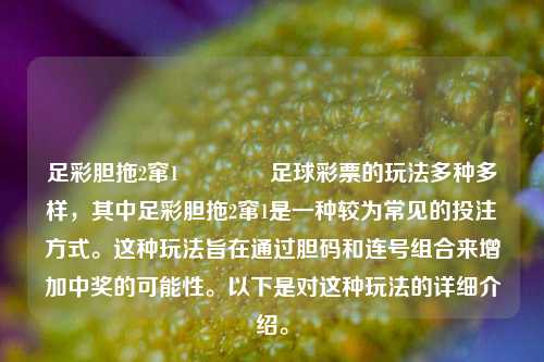 足彩胆拖2窜1🏆足球彩票的玩法多种多样，其中足彩胆拖2窜1是一种较为常见的投注方式。这种玩法旨在通过胆码和连号组合来增加中奖的可能性。以下是对这种玩法的详细介绍。