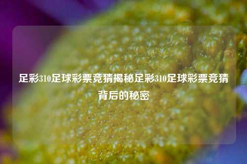 足彩310足球彩票竞猜揭秘足彩310足球彩票竞猜背后的秘密