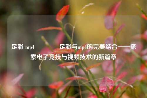 足彩 mp4👍足彩与mp4的完美结合——探索电子竞技与视频技术的新篇章