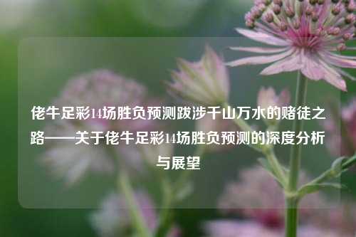 佬牛足彩14场胜负预测跋涉千山万水的赌徒之路——关于佬牛足彩14场胜负预测的深度分析与展望
