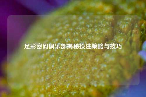 足彩密码俱乐部揭秘投注策略与技巧