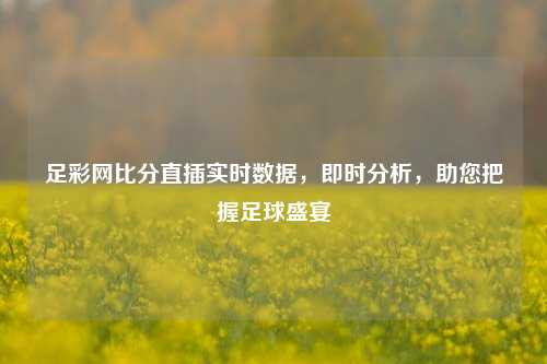 足彩网比分直插实时数据，即时分析，助您把握足球盛宴