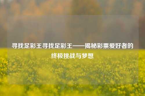 寻找足彩王寻找足彩王——揭秘彩票爱好者的终极挑战与梦想