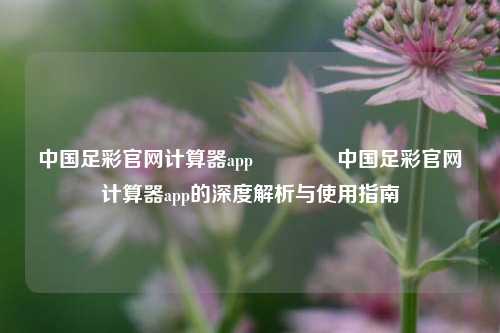 中国足彩官网计算器app🏆中国足彩官网计算器app的深度解析与使用指南