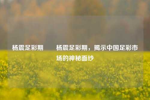 杨震足彩期✌️杨震足彩期，揭示中国足彩市场的神秘面纱
