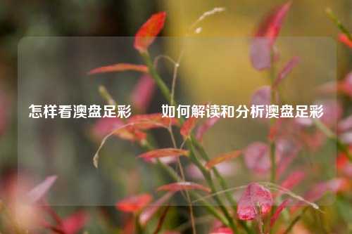 怎样看澳盘足彩✌️如何解读和分析澳盘足彩