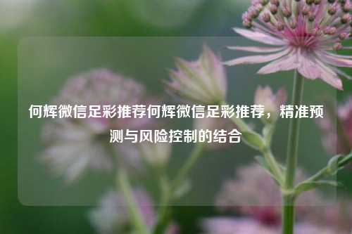 何辉微信足彩推荐何辉微信足彩推荐，精准预测与风险控制的结合