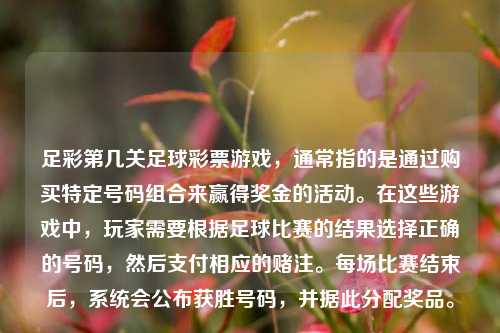 足彩第几关足球彩票游戏，通常指的是通过购买特定号码组合来赢得奖金的活动。在这些游戏中，玩家需要根据足球比赛的结果选择正确的号码，然后支付相应的赌注。每场比赛结束后，系统会公布获胜号码，并据此分配奖品。