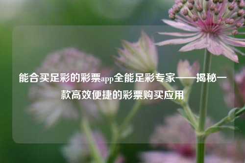 能合买足彩的彩票app全能足彩专家——揭秘一款高效便捷的彩票购买应用