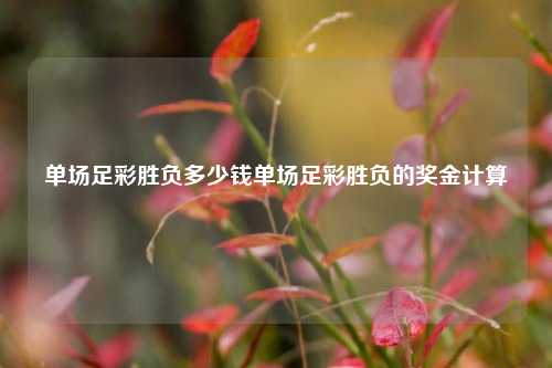 单场足彩胜负多少钱单场足彩胜负的奖金计算
