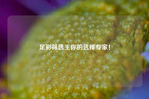 足彩筛选王你的选择专家！