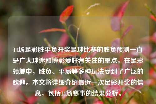 14场足彩胜平负开奖足球比赛的胜负预测一直是广大球迷和博彩爱好者关注的重点。在足彩领域中，胜负、平局等多种玩法受到了广泛的欢迎。本文将详细介绍最近一次足彩开奖的信息，包括14场赛事的结果分析。