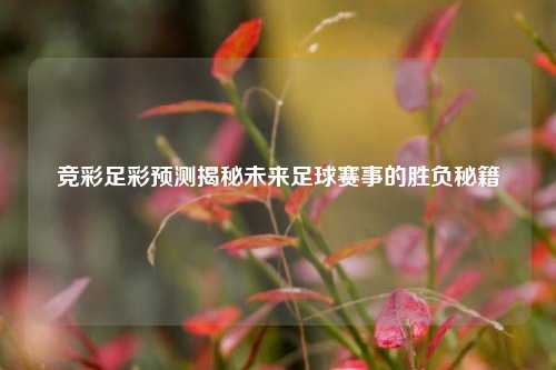 竞彩足彩预测揭秘未来足球赛事的胜负秘籍