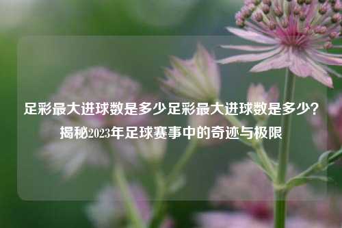 足彩最大进球数是多少足彩最大进球数是多少？揭秘2023年足球赛事中的奇迹与极限