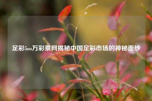 足彩5oo万彩票网揭秘中国足彩市场的神秘面纱