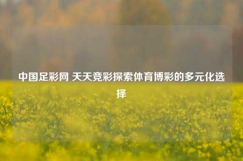 中国足彩网 天天竞彩探索体育博彩的多元化选择