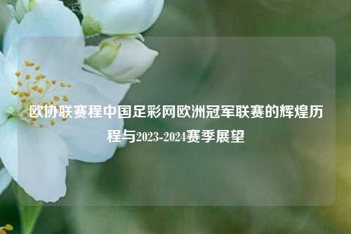 欧协联赛程中国足彩网欧洲冠军联赛的辉煌历程与2023-2024赛季展望