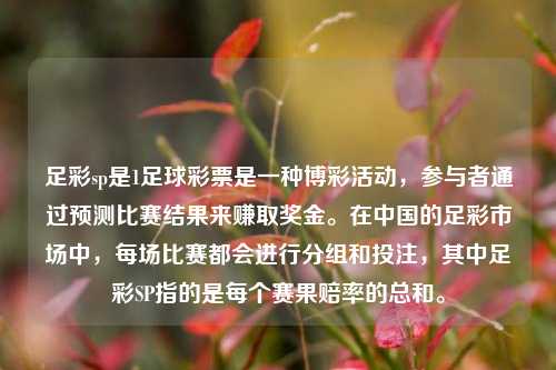 足彩sp是1足球彩票是一种博彩活动，参与者通过预测比赛结果来赚取奖金。在中国的足彩市场中，每场比赛都会进行分组和投注，其中足彩SP指的是每个赛果赔率的总和。