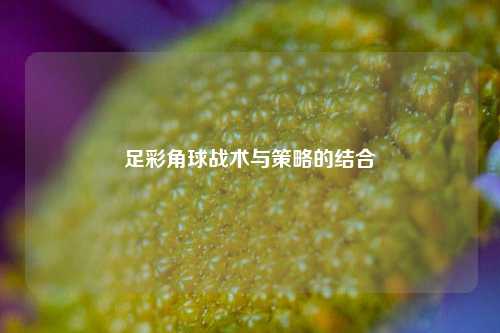 足彩角球战术与策略的结合