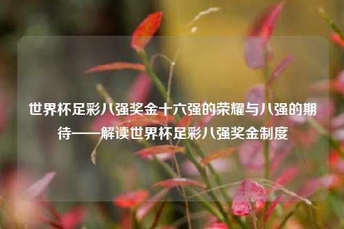 世界杯足彩八强奖金十六强的荣耀与八强的期待——解读世界杯足彩八强奖金制度