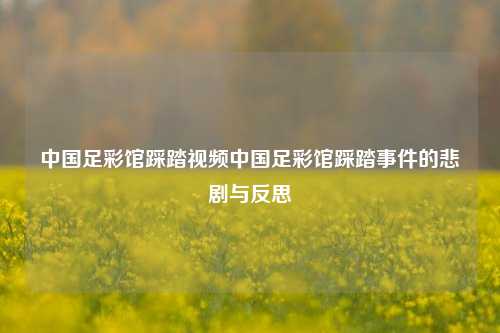 中国足彩馆踩踏视频中国足彩馆踩踏事件的悲剧与反思