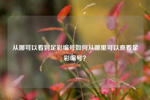 从哪可以看到足彩编号如何从哪里可以查看足彩编号？