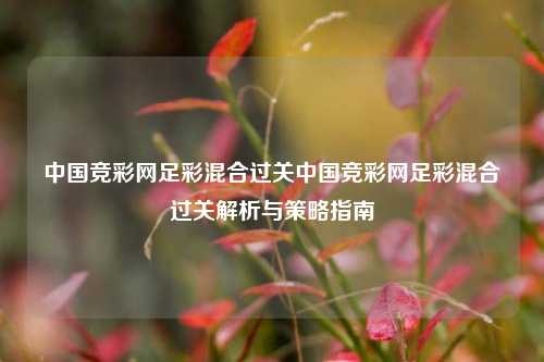 中国竞彩网足彩混合过关中国竞彩网足彩混合过关解析与策略指南