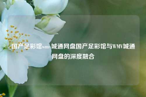 国产足彩馆wmv城通网盘国产足彩馆与WMV城通网盘的深度融合