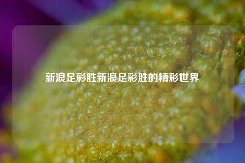 新浪足彩胜新浪足彩胜的精彩世界