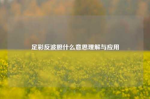 足彩反波胆什么意思理解与应用