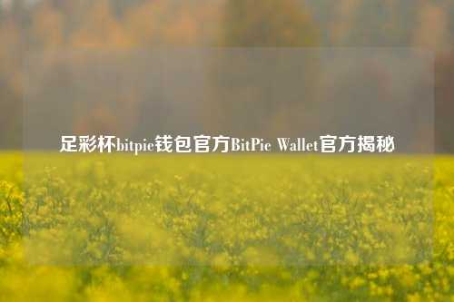 足彩杯bitpie钱包官方BitPie Wallet官方揭秘